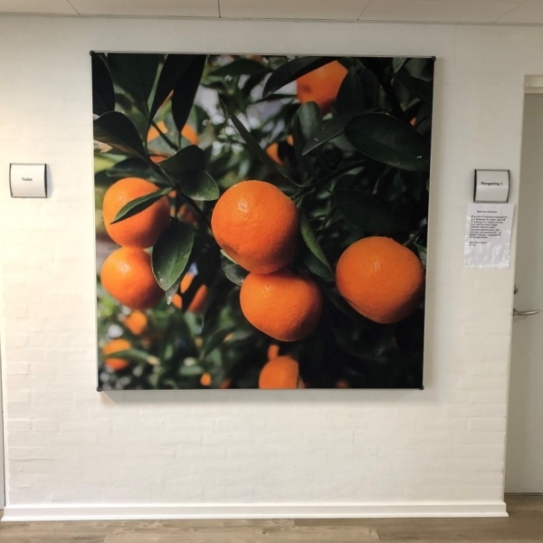 Akustibild - höga utskriftskvaliteten (2)